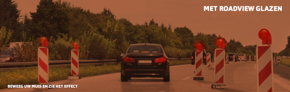 zonder roadview